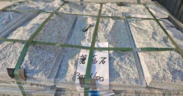 梅州芝麻白蘑菇石，自然面